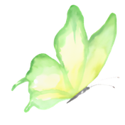 Sa Dernière Lettre Recadrage Image Papillon 5 Marge